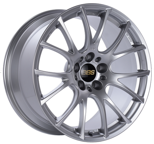 Diamond Silver paint, clear protective top coat.